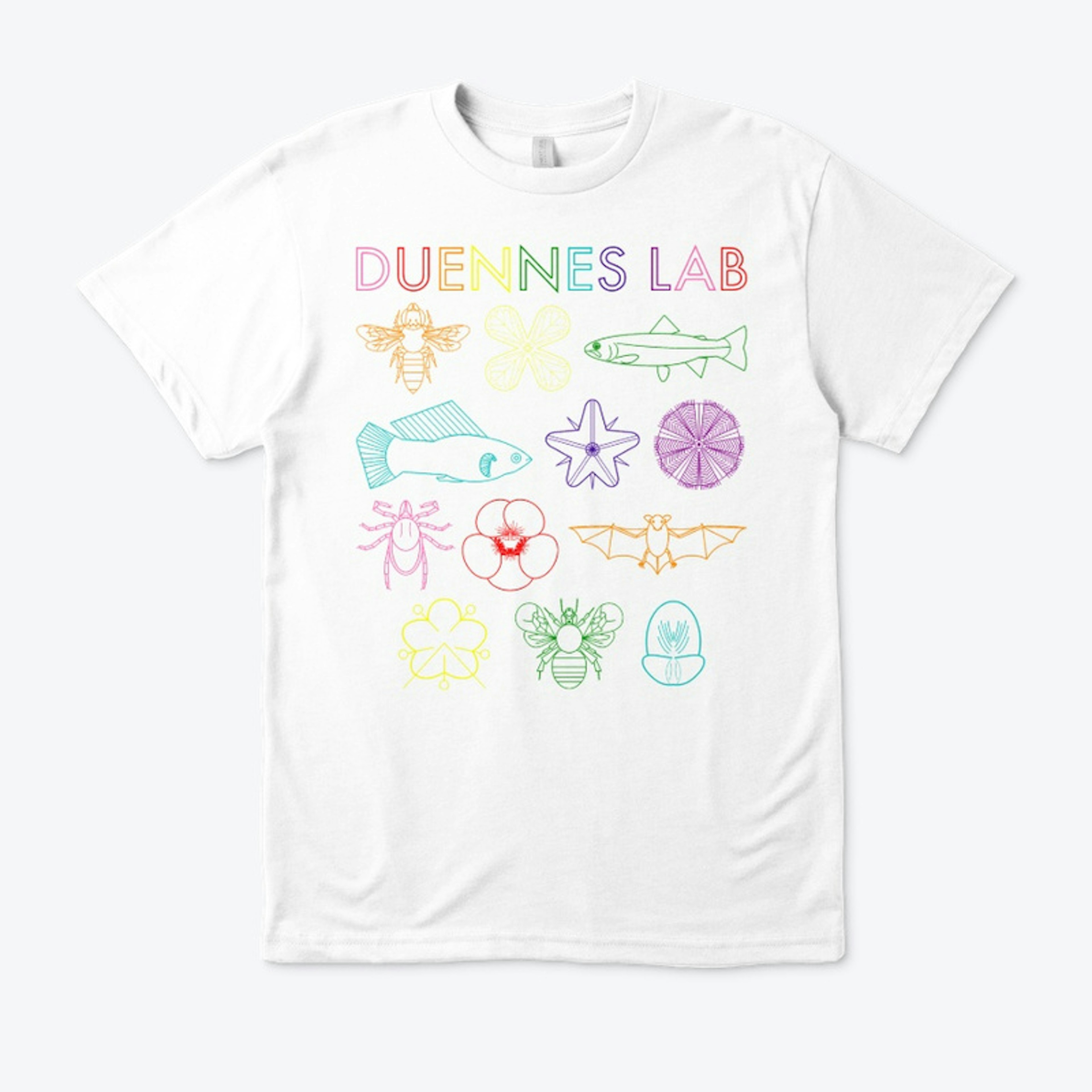 Duennes Lab Logo - Rainbow
